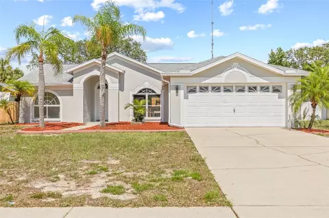 10538 Juliano Dr, Riverview, FL 33569
