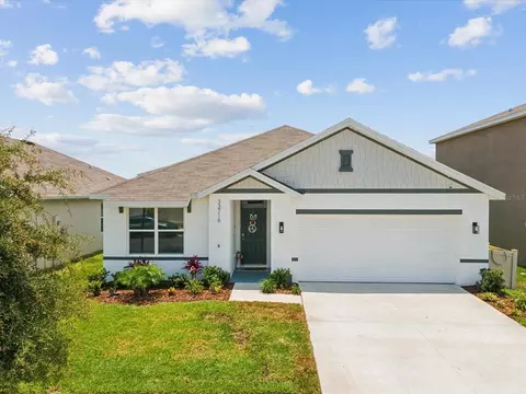 33716 Elm Hill Br, Wesley Chapel, FL 33545