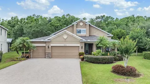 19312 Sunset Bay Dr, Land O Lakes, FL 34638