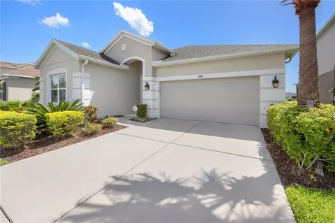 17668 Bright Wheat Dr, Lithia, FL 33547