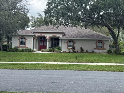 13133 Roseanna Dr, Spring Hill, FL 34609