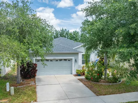 13803 Chalk Hill Pl, Riverview, FL 33579