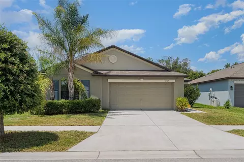 10104 Carloway Hills Dr, Wimauma, FL 33598