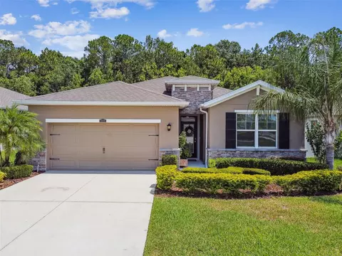 32825 Sand Creek Dr, Wesley Chapel, FL 33543
