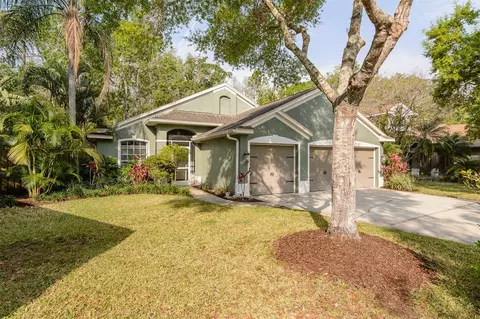 5619 Essex Ct, Palm Harbor, FL 34685