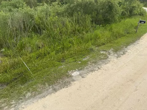 Otter Drive, Webster, FL 33597