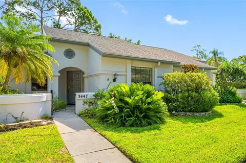 3447 Killdeer Pl, Palm Harbor, FL 34685