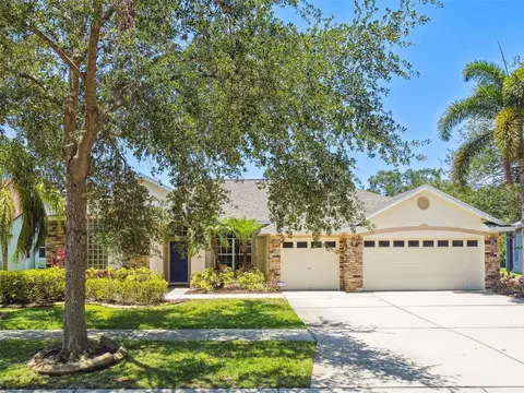 7246 Bucks Ford Dr, Riverview, FL 33578 photo 1