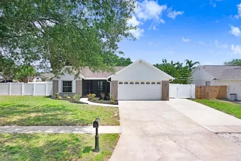 1017 Cameo Crest Ln, Valrico, FL 33596