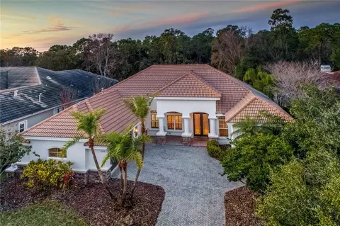 11938 Royce Waterford Cir, Tampa, FL 33626