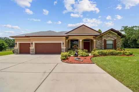 4608 Scott Rd, Lutz, FL 33558