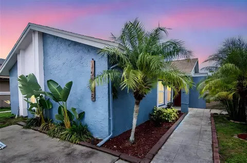 10325 Parkcrest Dr, Tampa, FL 33624