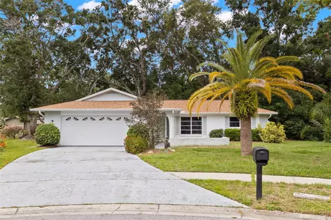 2956 Sutherland Ct, Palm Harbor, FL 34684