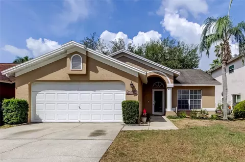 11641 Branch Mooring Dr, Tampa, FL 33635