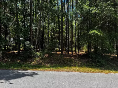 SW 202nd Court, Dunnellon, FL 34431