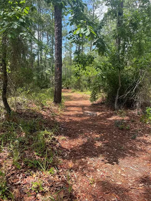 0 Firethorn Pt, Spring Hill, FL 34609