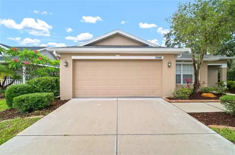 3908 Douglas Hill Pl, Parrish, FL 34219