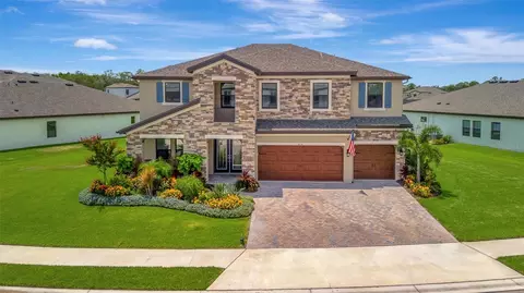 9136 Warm Springs Cir, Parrish, FL 34219 photo 1