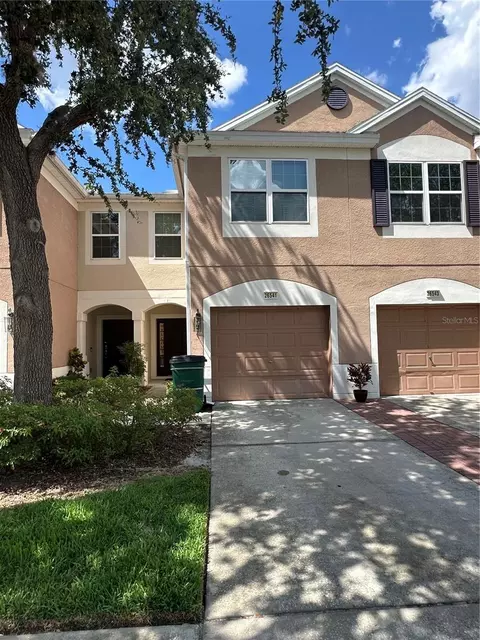 26541 Chimney Spire Ln, Wesley Chapel, FL 33544
