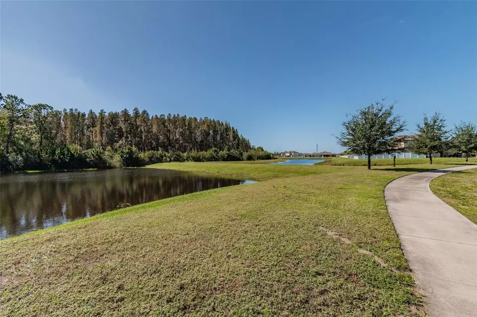 View/Area - 11837 Thicket Wood Dr, Riverview, FL 33579 photo 9 of 31