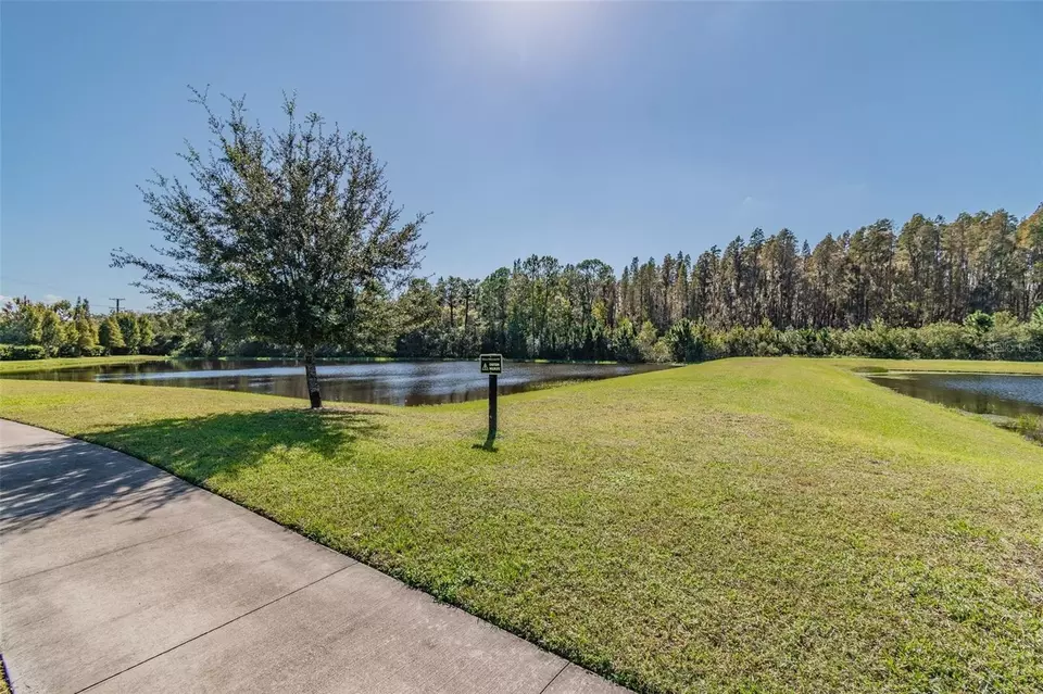 Other - 11837 Thicket Wood Dr, Riverview, FL 33579 photo 8 of 8