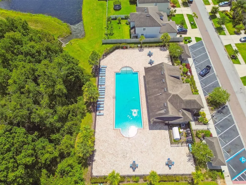 View/Area - 11837 Thicket Wood Dr, Riverview, FL 33579 photo 4 of 31