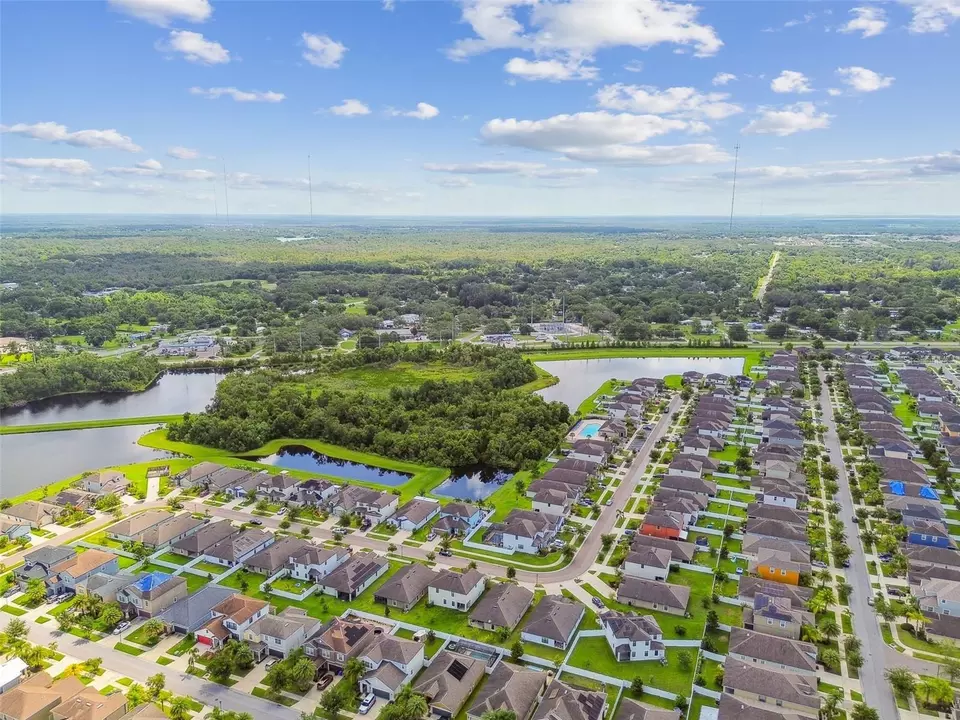 View/Area - 11837 Thicket Wood Dr, Riverview, FL 33579 photo 19 of 31