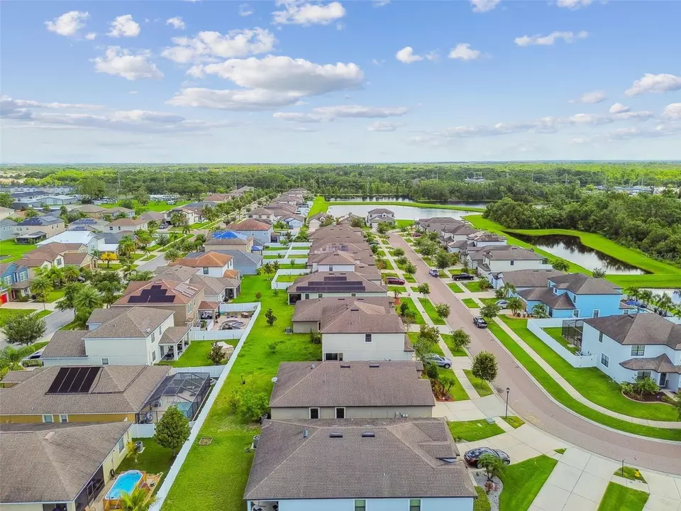 View/Area - 11837 Thicket Wood Dr, Riverview, FL 33579 photo 28 of 31