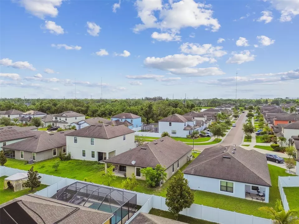 View/Area - 11837 Thicket Wood Dr, Riverview, FL 33579 photo 25 of 31