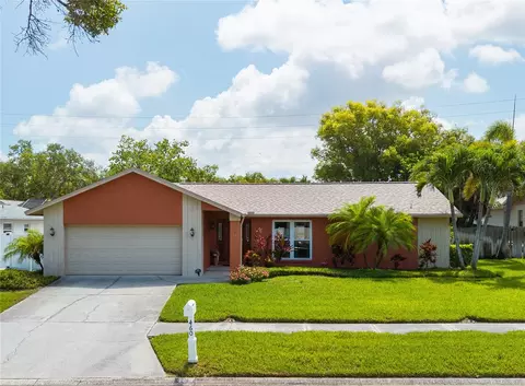 460 Meravan Dr, Palm Harbor, FL 34683