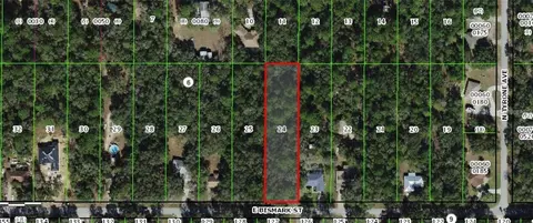 1191 E Bismark St, Hernando, FL 34442
