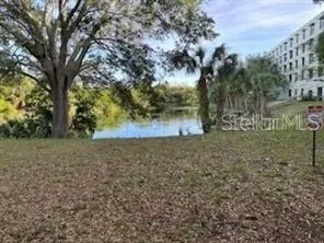 701 S Madison Ave #515, Clearwater, FL 33756