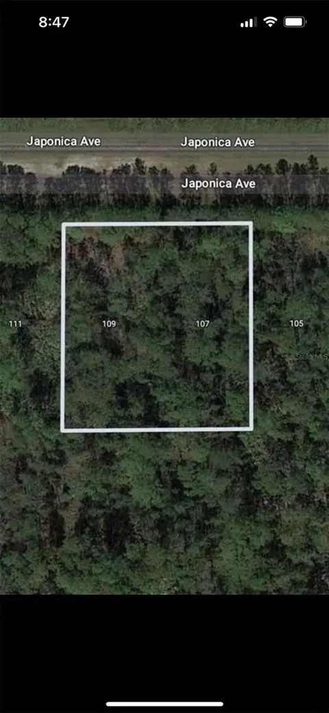 109 Japonica Ave, Indian Lake Estates, FL 33855