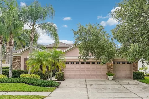 3228 Stonegate Falls Dr, Land O Lakes, FL 34638