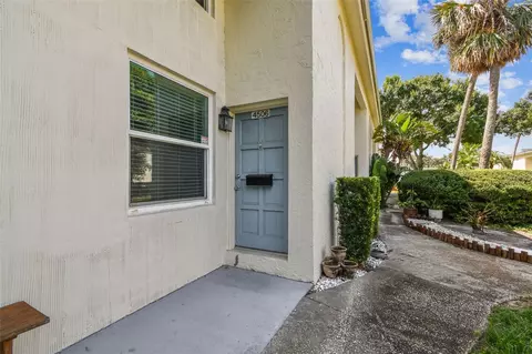4506 La Capri Ct, Tampa, FL 33611