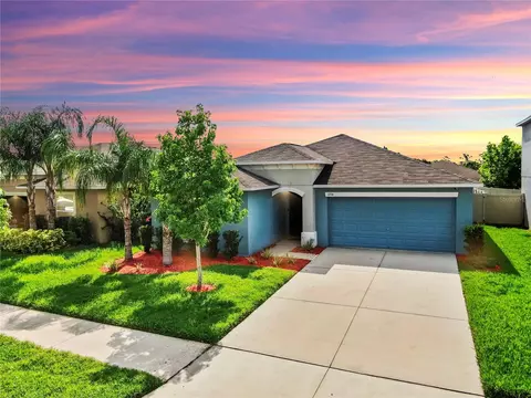 17136 Sunshine Mimosa St, Wimauma, FL 33598