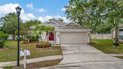 11123 Silver Dancer Dr, Riverview, FL 33579
