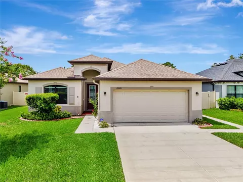 19974 Bluebird Meadow Dr, Lutz, FL 33558