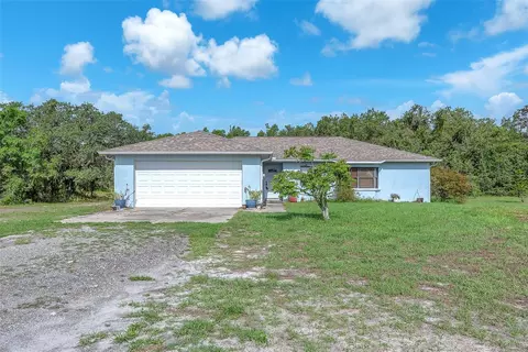 17023 Alderman Turner Rd, Wimauma, FL 33598