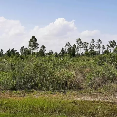 414 Calendula Dr, Indian Lake Estates, FL 33855
