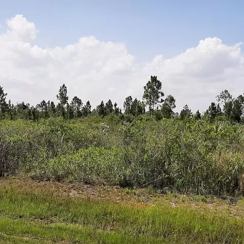 412 Calendula Dr, Indian Lake Estates, FL 33855