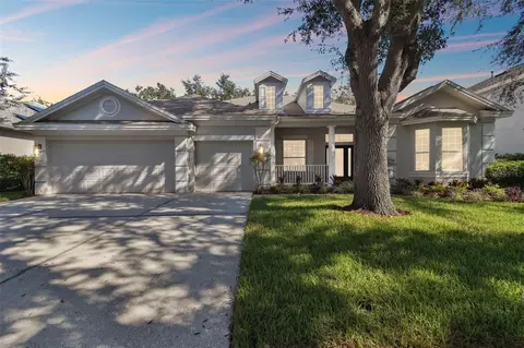 10244 Shadow Branch Dr, Tampa, FL 33647