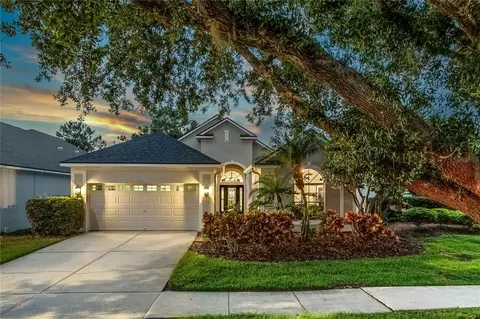 9608 Greenpointe Dr, Tampa, FL 33626