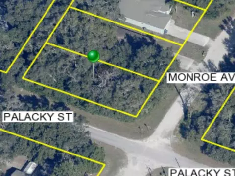 1059 Monroe Ave, Brooksville, FL 34604