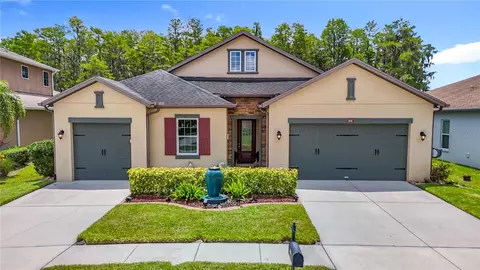 1958 Marshberry Ct, Trinity, FL 34655