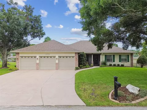 21738 Ocean Pines Dr, Land O Lakes, FL 34639