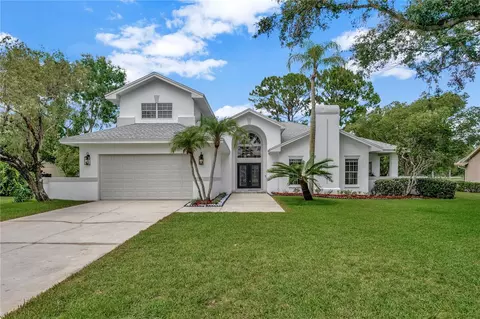 16317 Colwood Dr, Odessa, FL 33556