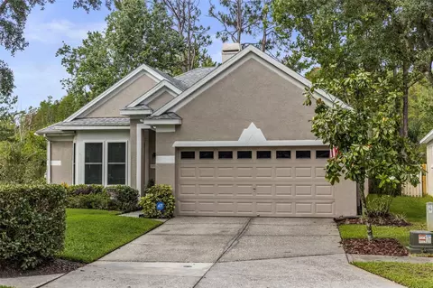 9327 Hunters Park Way, Tampa, FL 33647