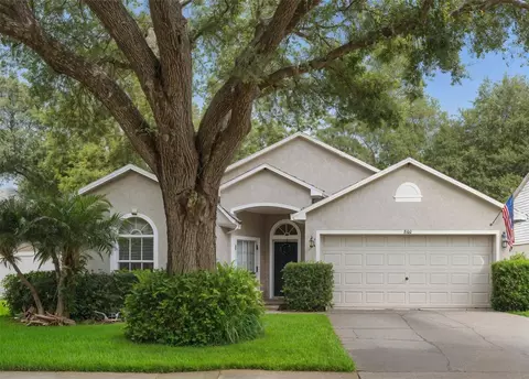 3101 Beaver Pond Trl, Valrico, FL 33596