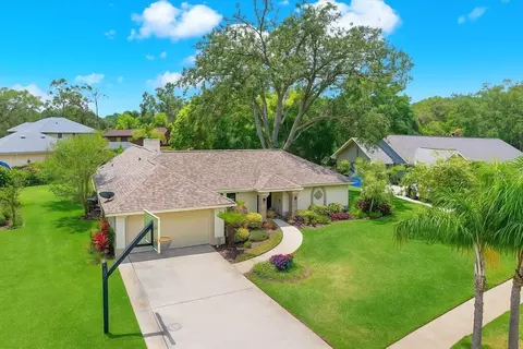 2806 Fairway View Dr, Valrico, FL 33596